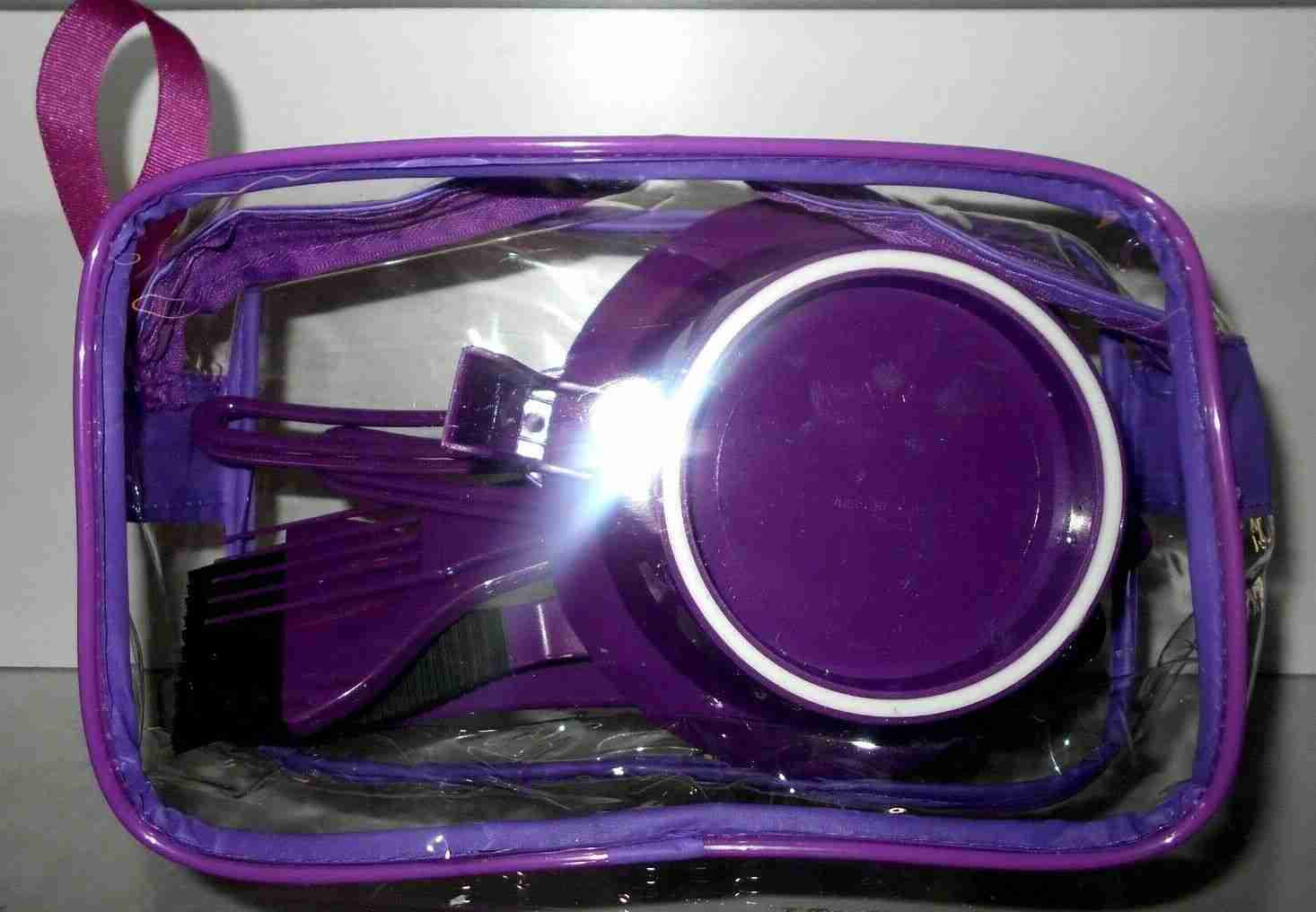 MARIANNA Professional HAIR COLOR TINT KIT ~ 7 Piece Set in Clear / Purple Bag